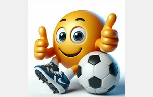 Championnat seniors